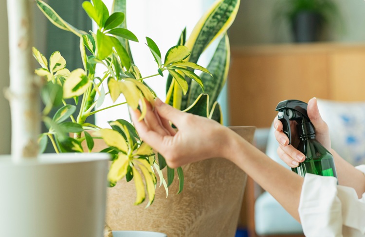 10年後も、20年後も。